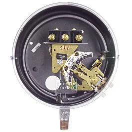 Dwyer DS-7231-153-6 Bourdon-rörs tryckbrytare