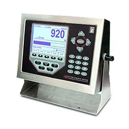 Rice Lake Weighing Systems 69770 paneldisplay